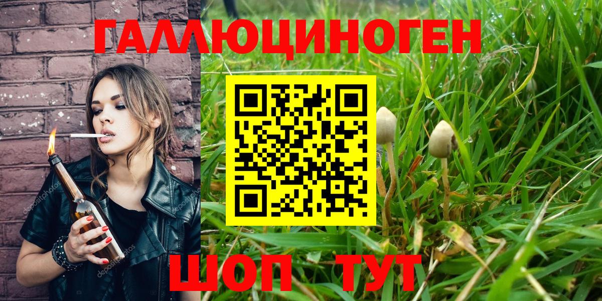 Галлюциногенные грибы прущие грибы  Вход с VPN  Нижний Тагил 